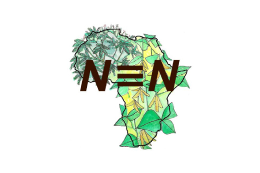 N2Africa Logo
